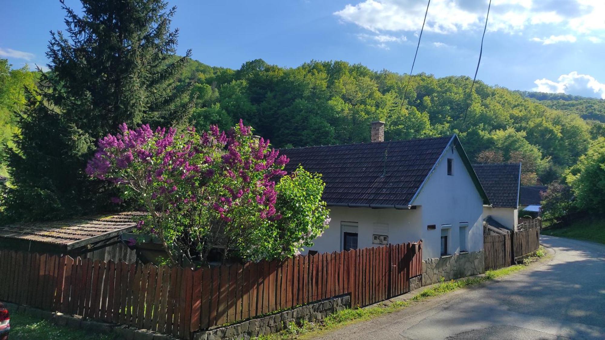 Mokusles Vendeghaz Apartament *